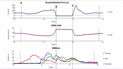 Sports and Fitness Science: Using Force Platforms to characterise exercises